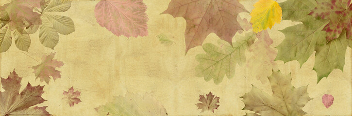 autumn tinted maple, rowan, oak and chestnut leaves on a brown background of old paper.Close-up,...