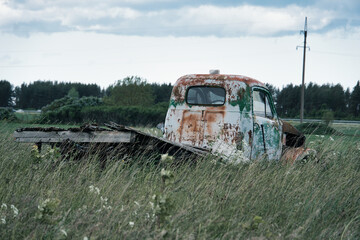 Rusty Abandoned Pickup Truck in Overgrown Field