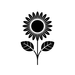 Fototapeta premium Black and White Sunflower Illustration with Two Leaves a Graphic Design Element on White Background