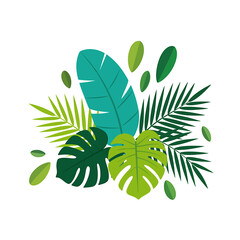 Tropical Leaves Illustration with Monstera Palm Banana Leaf Design Elements on White Background for Summer Vibes