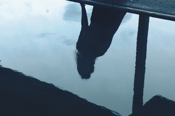 Moody Reflection of Woman in Water with Silhouette Framed by Urban Structure at Dusk