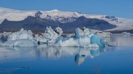 Majestic icebergs floating in Jokulsarlon Glacier Lagoon under a clear blue sky in Iceland
