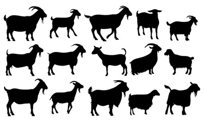 Vector goat breed silhouettes in black and white, including Alpine, Boer, Nubian, Pygmy, Saanen, Angora, Oberhasli, Toggenburg. Perfect for farmers, goat enthusiasts, animal agriculture