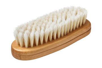 Oval-shaped brush with natural bristles and wooden handle