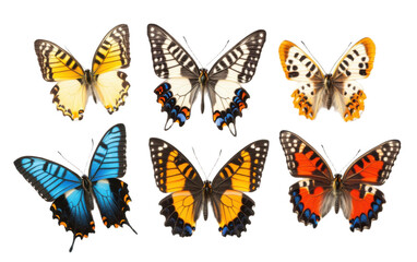 Beautiful cute butterflies on transparent background, png