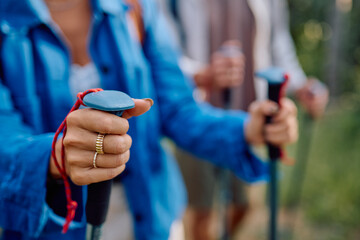Hikers enjoying a stunning mountain landscape while using trekking poles during their outdoor excursion with friends and family