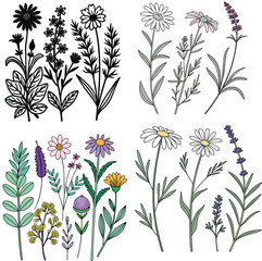 Florall Illustrator Artwork