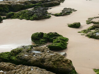 Moss-covered rocks on a sandy beach at low tide. Natural coastal textures and earthy tones, ideal for nature, travel, or environmental themes.