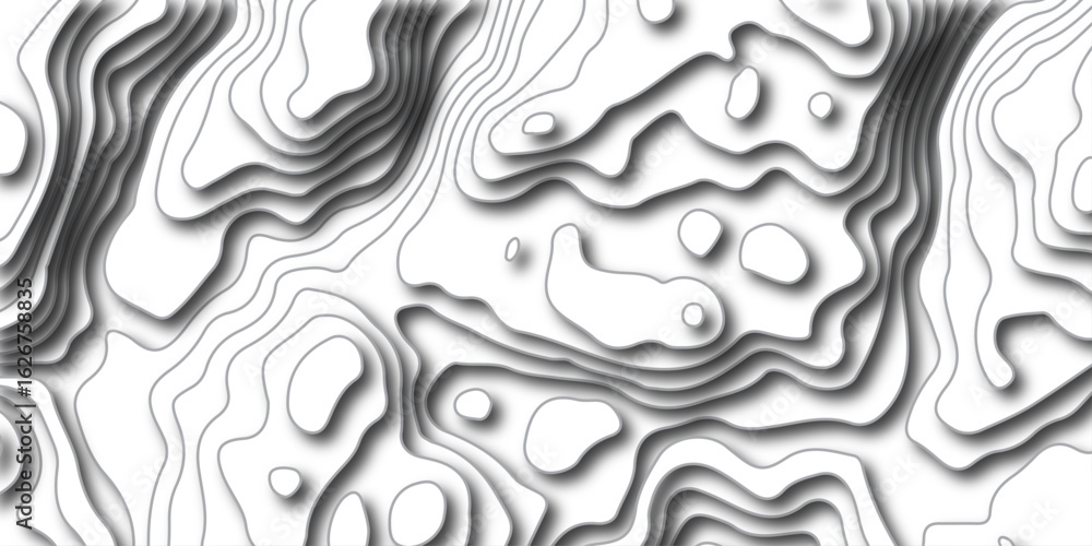 Poster white wave paper curved reliefs abstract background. the topographic map contour in lines isolated. 
