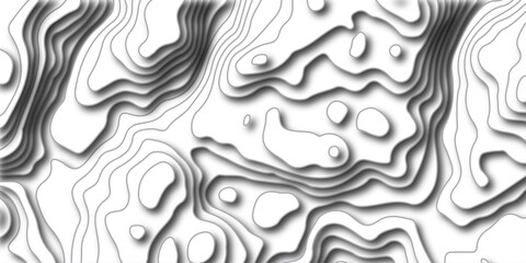 White wave paper curved reliefs abstract background. The topographic map contour in lines isolated. Abstract white topographic map background with lines.