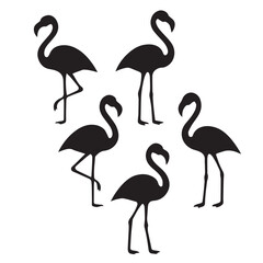 Obraz premium Set of flamingo silhouettes in various poses vector illustration