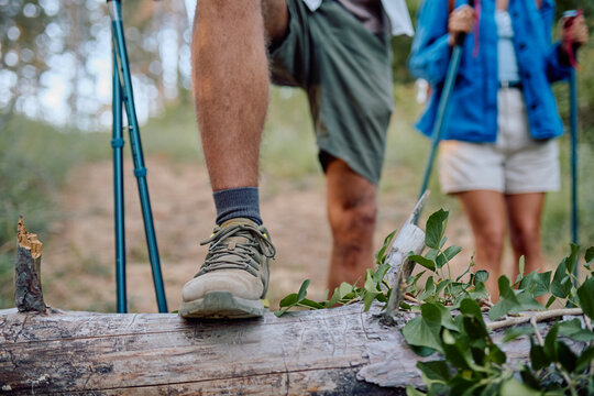 Hikers navigating a mountain trail are stepping over a fallen tree trunk, embracing the adventure of nature during their excursion