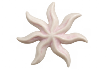 Pink and white eight-pointed starfish shape candy isolated on transparent background, ideal for creative projects