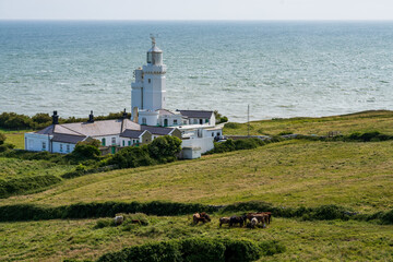 St Catherine's Lighthouse in Niton on the south coast of the Isle of Wight with holiday cottages on the coastline