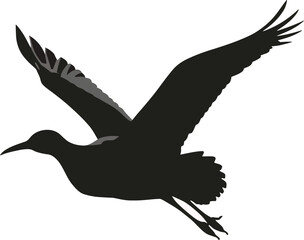 Obraz premium Vector art of silhouette of a bird in flight with its wings spread against a light background creating a simple and elegant design