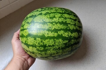 Whole and slice of ripe watermelon, heap of watermelon slices as background