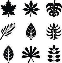 Fototapeta premium Vector Collection of Botanical and Tropical Leaf Icons in Flat Black Silhouette Style