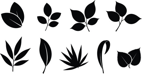 A collection of eight different leaf silhouettes in black and white vector format on a white background