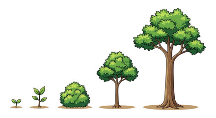 Obraz premium Tree growth stages illustration from sprout to full tree