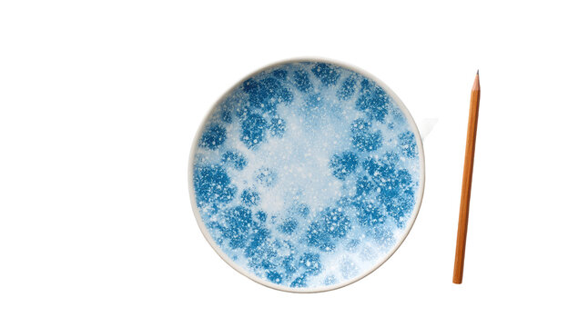 Round ceramic plate, light blue, speckled design, with wooden chopstick
