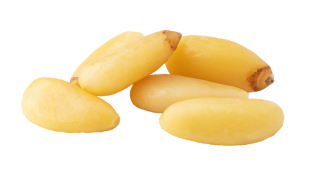 Shelled pine nuts isolated on transparent background, ready for culinary use