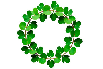 st patrick day, green leaves border, st patricks day background