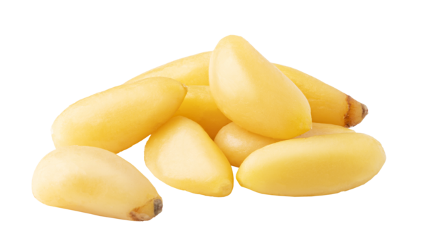 Pine nuts piled up on transparent background, showing delicious texture