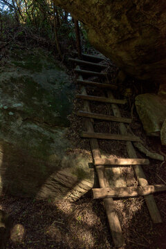 A wooden ladder on the Rainbow Gorge hiking trail