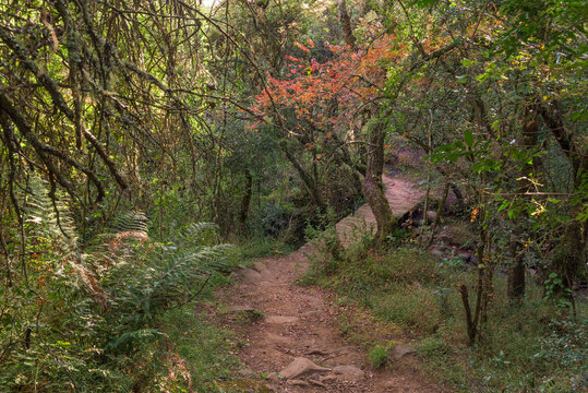 Pedestrian bridge on the hiking trail to the Sphinx