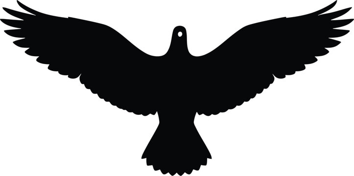 Vector art of silhouette of a bird in flight with outstretched wings against a plain backdrop creating a sense of freedom