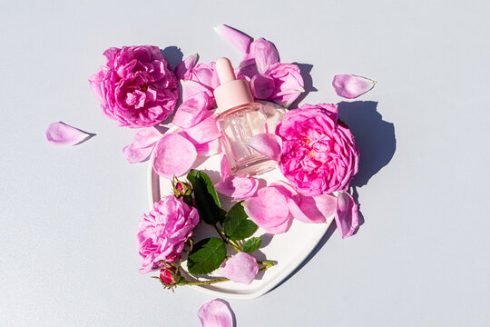 Rose oil bottle with pink petals on white background