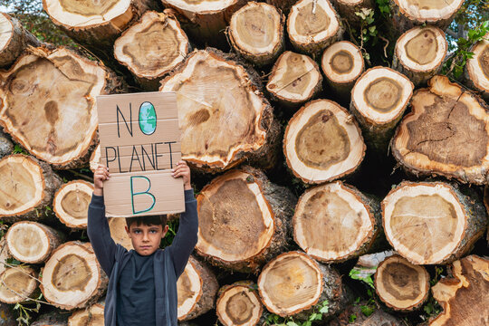 Deforestation awareness with child and cut logs