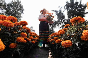 Woman among cempasuchil flowers in Xochimilco, Mexico