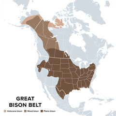 Great bison belt of North America, political map. Original distribution of commonly known American buffalo, with the two subspecies plains and wood bison, while the Holocene bison is an earlier form. © Peter Hermes Furian