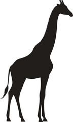 Vector art of silhouette of a giraffe standing gracefully against a plain backdrop creating a simple yet striking visual representation