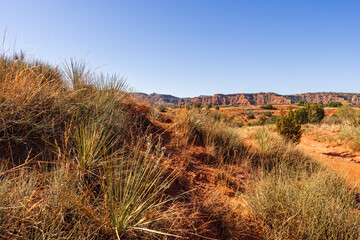 Palo Duro Canyon State Park, Texas, USA