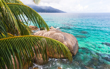 Tropical Beach Scene with Palm Trees Overlooking Clear Blue Ocean Waters