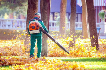 Landscape worker uses blower to clear autumn leaves in a park during sunny day