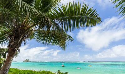 Tropical Beach View with Palm Trees and Crystal Clear Ocean Waters