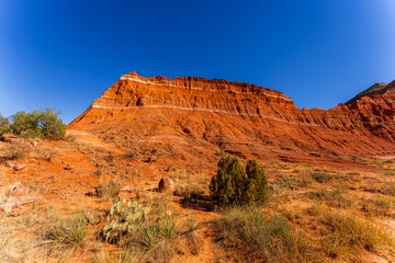 Fototapeta premium Stunning View of Palo Duro Canyon in Texas with Red Rock Formations Under a Clear Blue Sky
