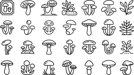 collection of mashroom black line icons set, vector illustration