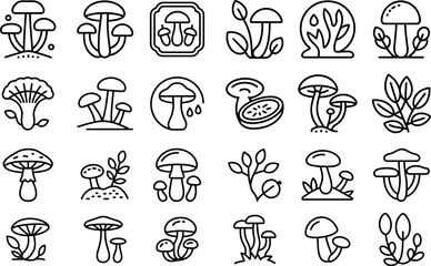 mashroom line icons set, vector illustration
