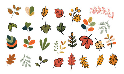 Hand-Drawn Botanical Fall Leaves Collection with Colorful Vector Foliage for Seasonal and Nature-Based Design Projects, Graphic Design, Vector, Icons