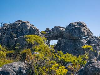 Unusual Rock Formation Atop Table Mountain