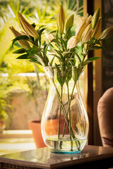 Flowers themes: A vase of easter lilies decorating a house interior. A species native to n Taiwan and Ryukyu Island of Japan.
