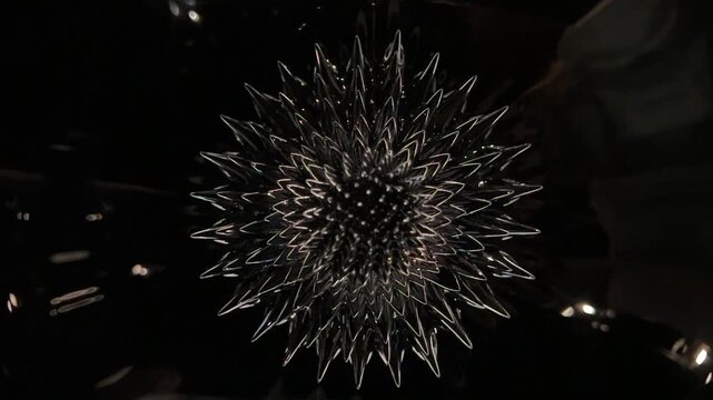 Ferrofluid experiment forming a rotating flower-like shape in dark liquid