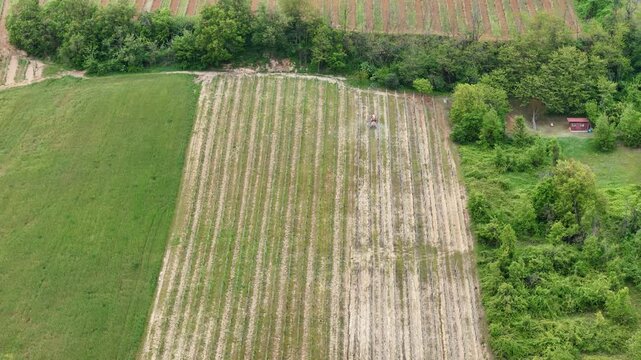 Aerial View of Agricultural Tractor Working Uphill Across Cultivated Vineyards in Colli Piacentini Italy Spraying Pesticides on Fertile Farmland, slow motion shot