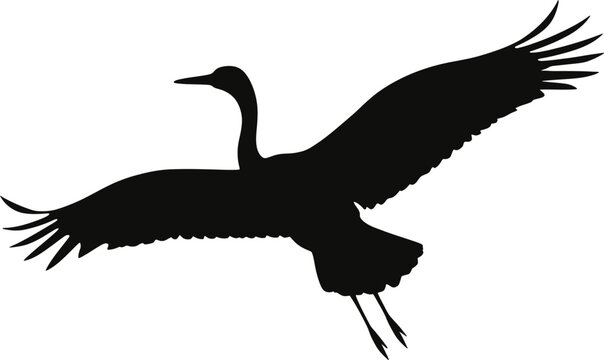 Vector art of silhouette of a crane in flight showcasing its elegant wings and graceful movement against a plain backdrop
