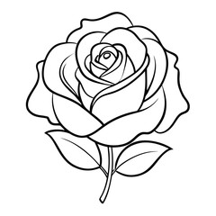 red rose isolated on white