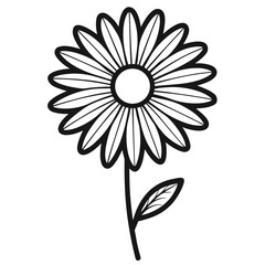 white flower isolated on black